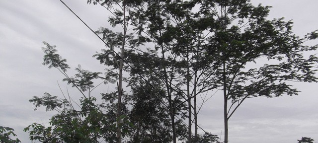 FRW, Peta Situasi, Rumah Dijual