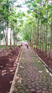 jalan setapak