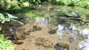 Kolam Megalitik (Kolam Bertuah)